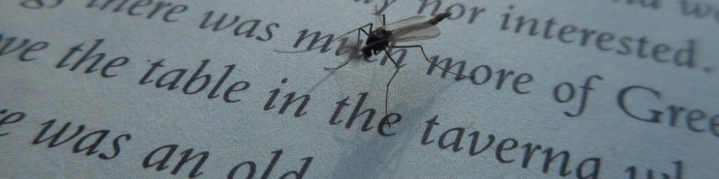 A close-up of the text on a page of a book, with a nosquito